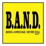 B.A.N.D. Being Awesome Never Dull Magnet
